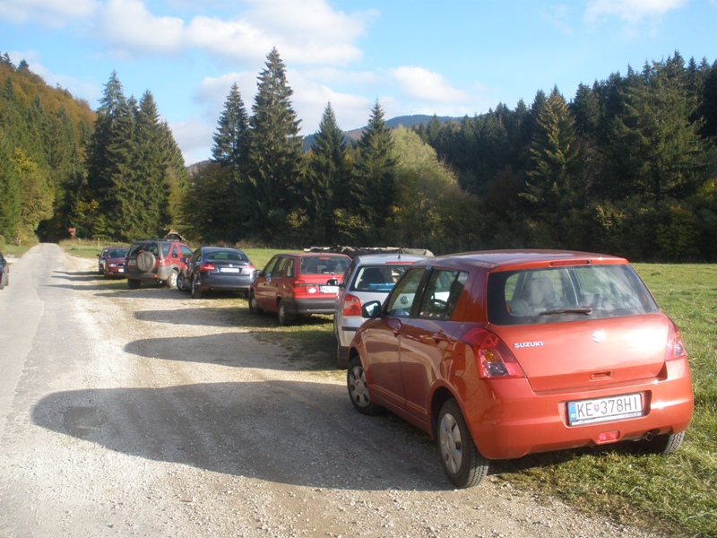 PA210276.JPG