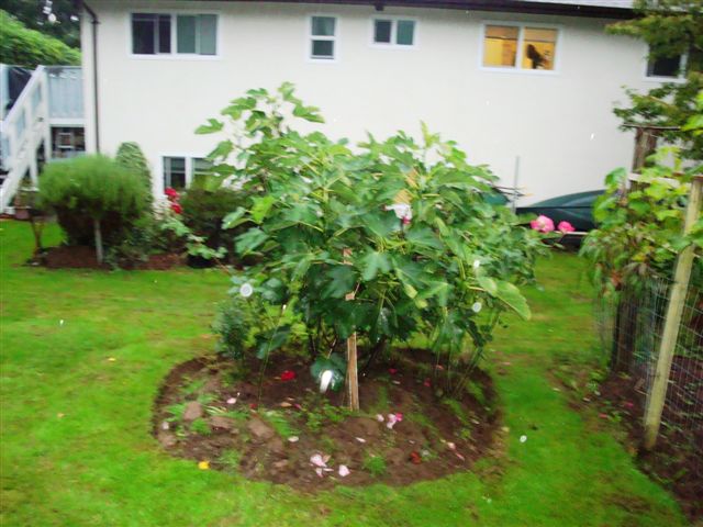 DSC06879.JPG