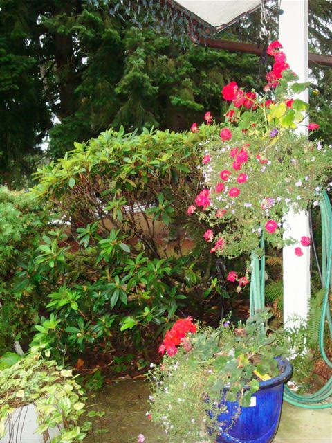DSC06885.JPG