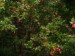 DSC06877.JPG